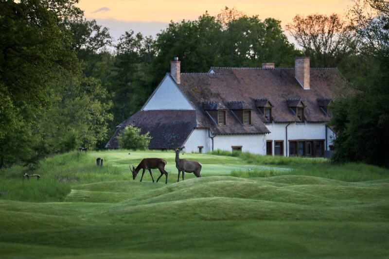 Les Bordes is a 1,400-acre (560-hectare) property that is roughly twice the size of New York’s Central Park. It is one of the largest private estates in the country. Courtesy of Les Bordes Estate